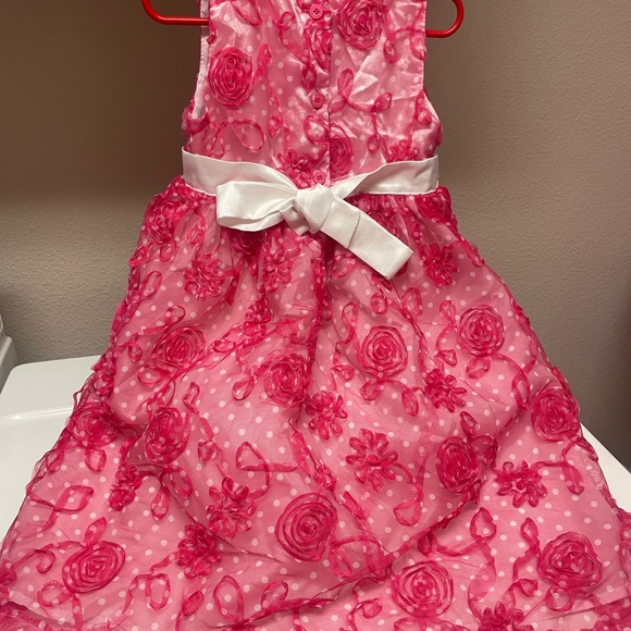 Blueberi Boulevard Girls Dress💕Pink roses with a white underskirt💐EUC🌹Size 6X - Picture 7 of 7